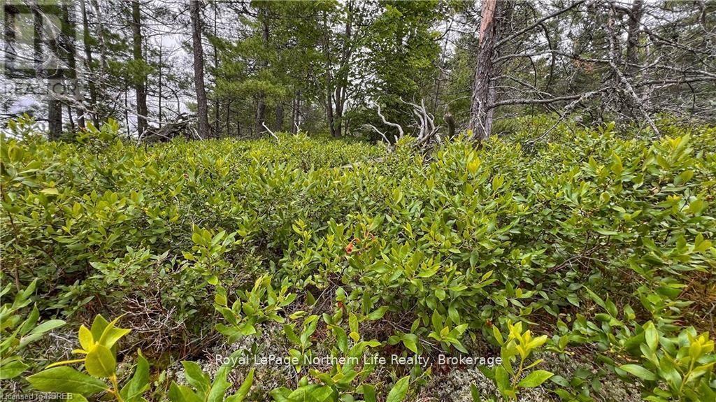 Pcl 16569 Burnt Island, West Nipissing, Ontario  P0M 2N1 - Photo 40 - X12459727