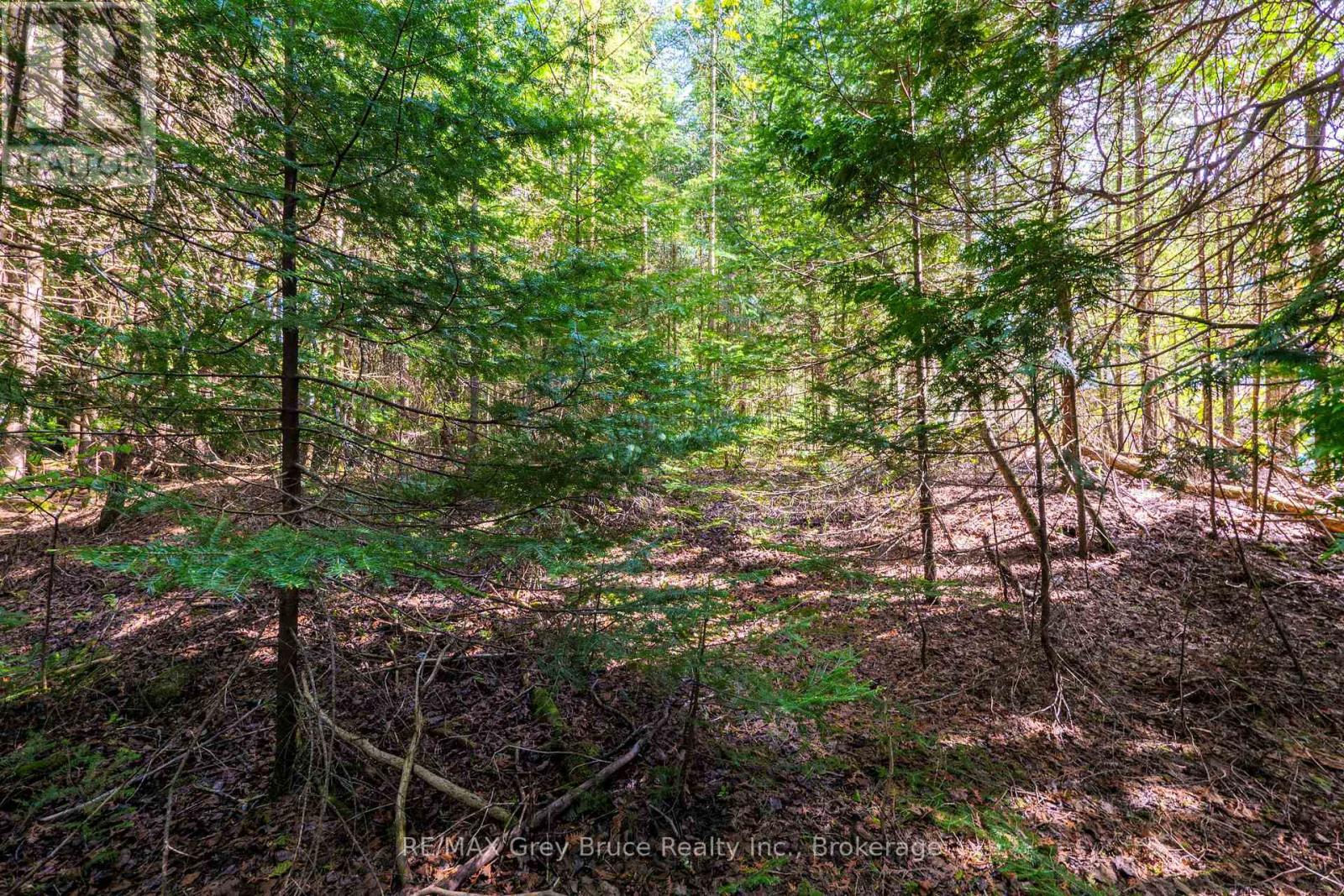Unit 6 Stokes Bay Road, Northern Bruce Peninsula, Ontario  N0H 1W0 - Photo 18 - X12454652
