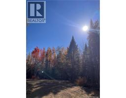 Lot Bells Mills Road, richibouctou-village, New Brunswick