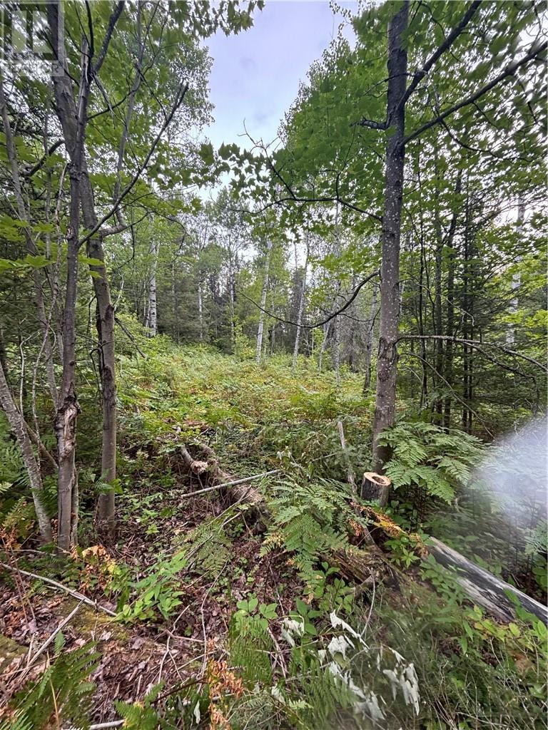 0 Mullen Road, Whitefish, Ontario