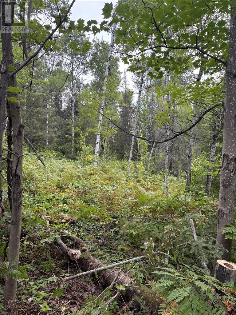 0 Mullen Road, Whitefish, Ontario  P0M 3E0 - Photo 2 - 2125181
