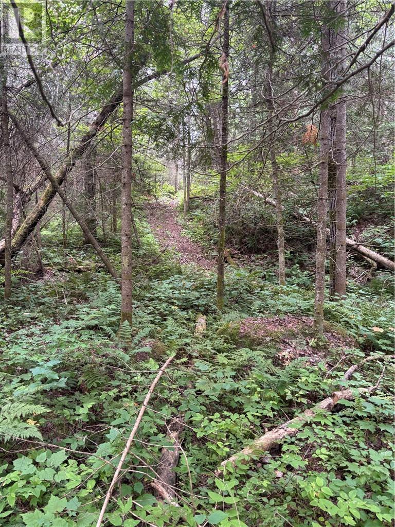 0 Mullen Road, Whitefish, Ontario  P0M 3E0 - Photo 3 - 2125181