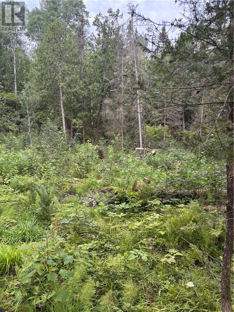 0 Mullen Road, Whitefish, Ontario  P0M 3E0 - Photo 4 - 2125181