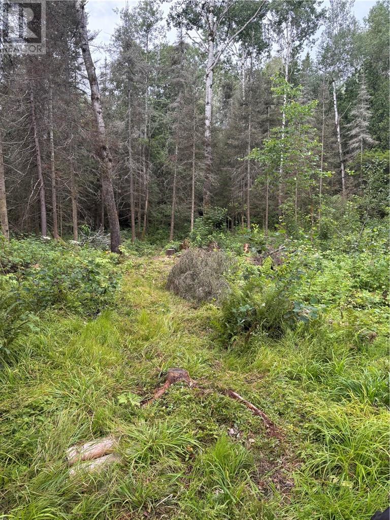 0 Mullen Road, Whitefish, Ontario  P0M 3E0 - Photo 5 - 2125181
