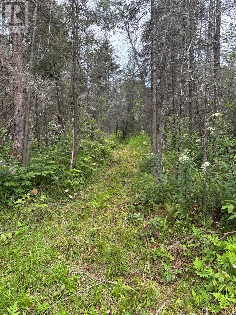 0 Mullen Road, Whitefish, Ontario  P0M 3E0 - Photo 6 - 2125181