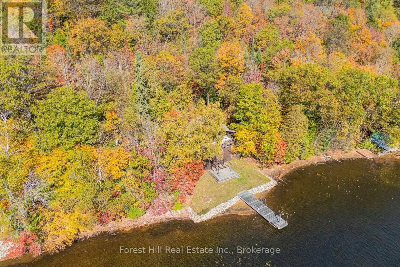 1187 Ivy Lane, Algonquin Highlands, Ontario  P0A 1E0 - Photo 2 - X12459975