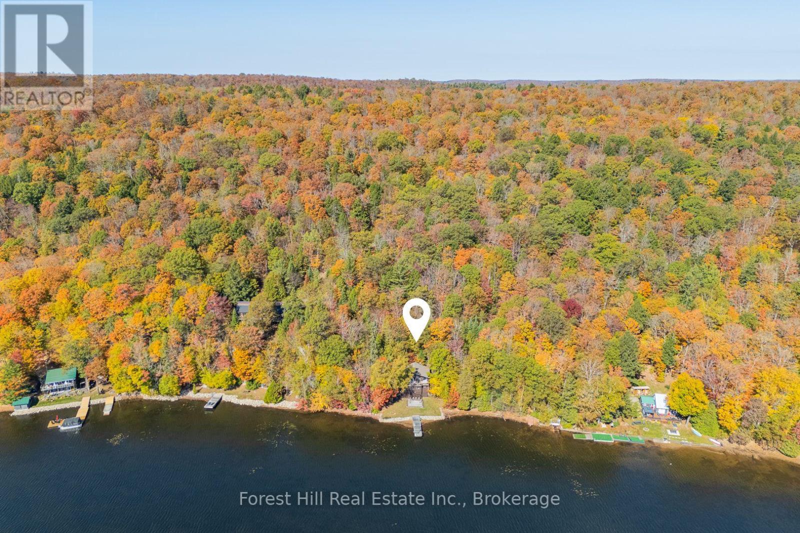 1187 Ivy Lane, Algonquin Highlands, Ontario  P0A 1E0 - Photo 3 - X12459975