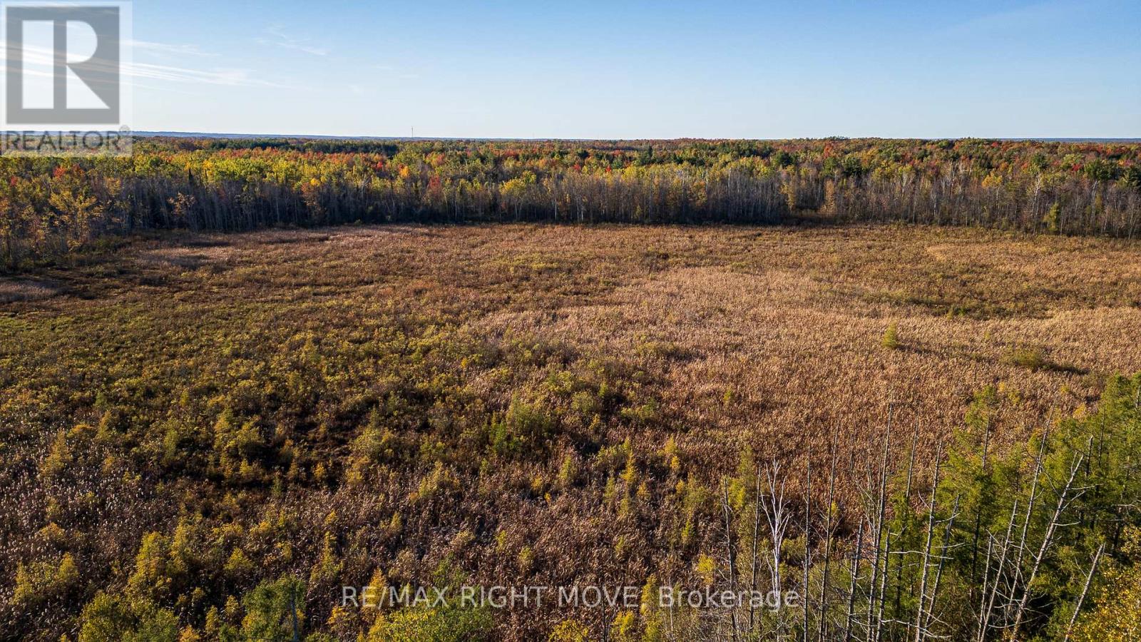 2085 Monck Road, Ramara, Ontario  L3V 0P6 - Photo 15 - S12459904