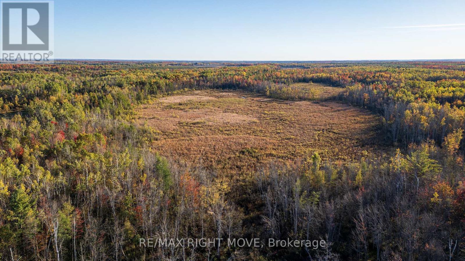 2085 Monck Road, Ramara, Ontario  L3V 0P6 - Photo 16 - S12459904