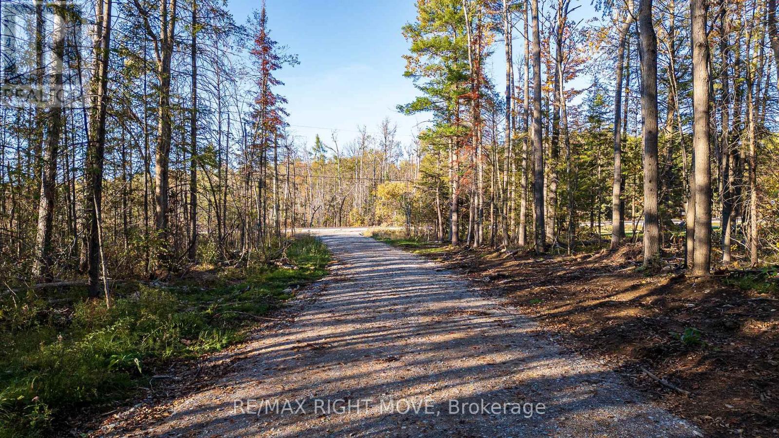2085 Monck Road, Ramara, Ontario  L3V 0P6 - Photo 2 - S12459904