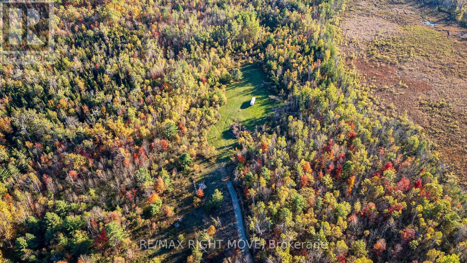 2085 Monck Road, Ramara, Ontario  L3V 0P6 - Photo 5 - S12459904