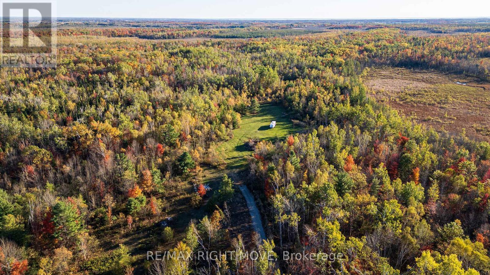 2085 Monck Road, Ramara, Ontario  L3V 0P6 - Photo 6 - S12459904