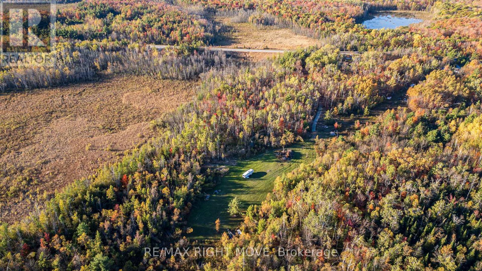 2085 Monck Road, Ramara, Ontario  L3V 0P6 - Photo 9 - S12459904