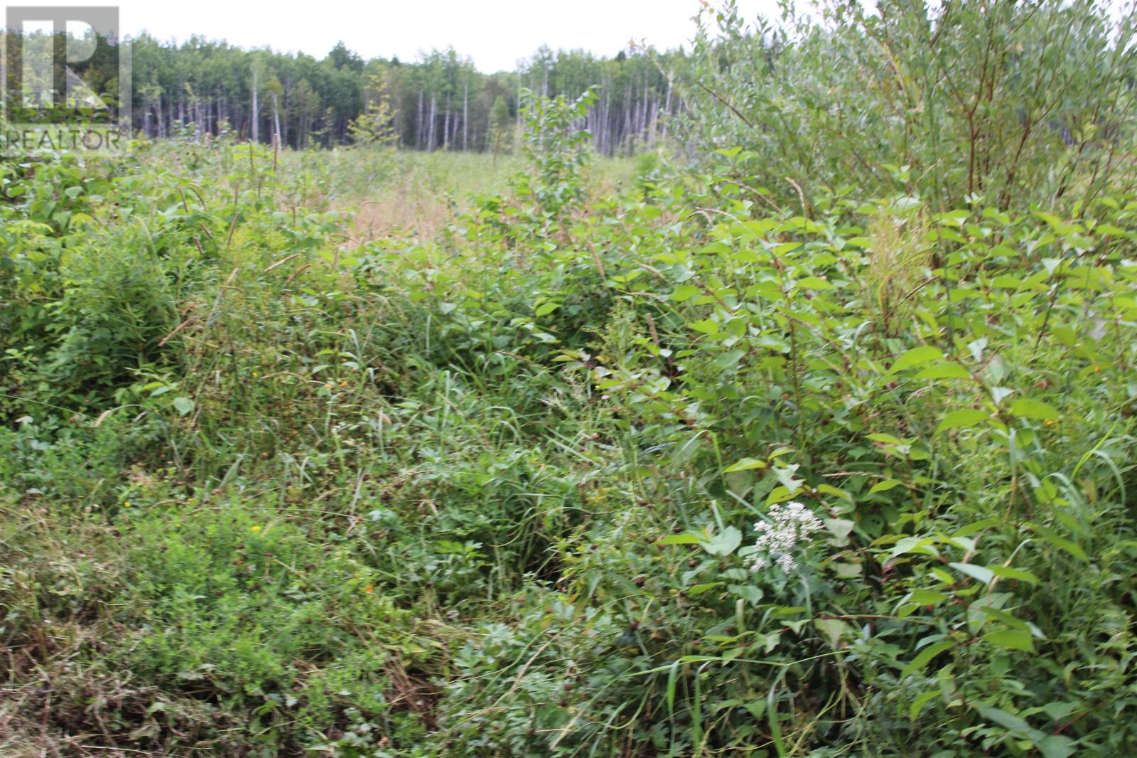 189 Larson Rd, Neebing, Ontario  P7L 0A4 - Photo 28 - TB252634