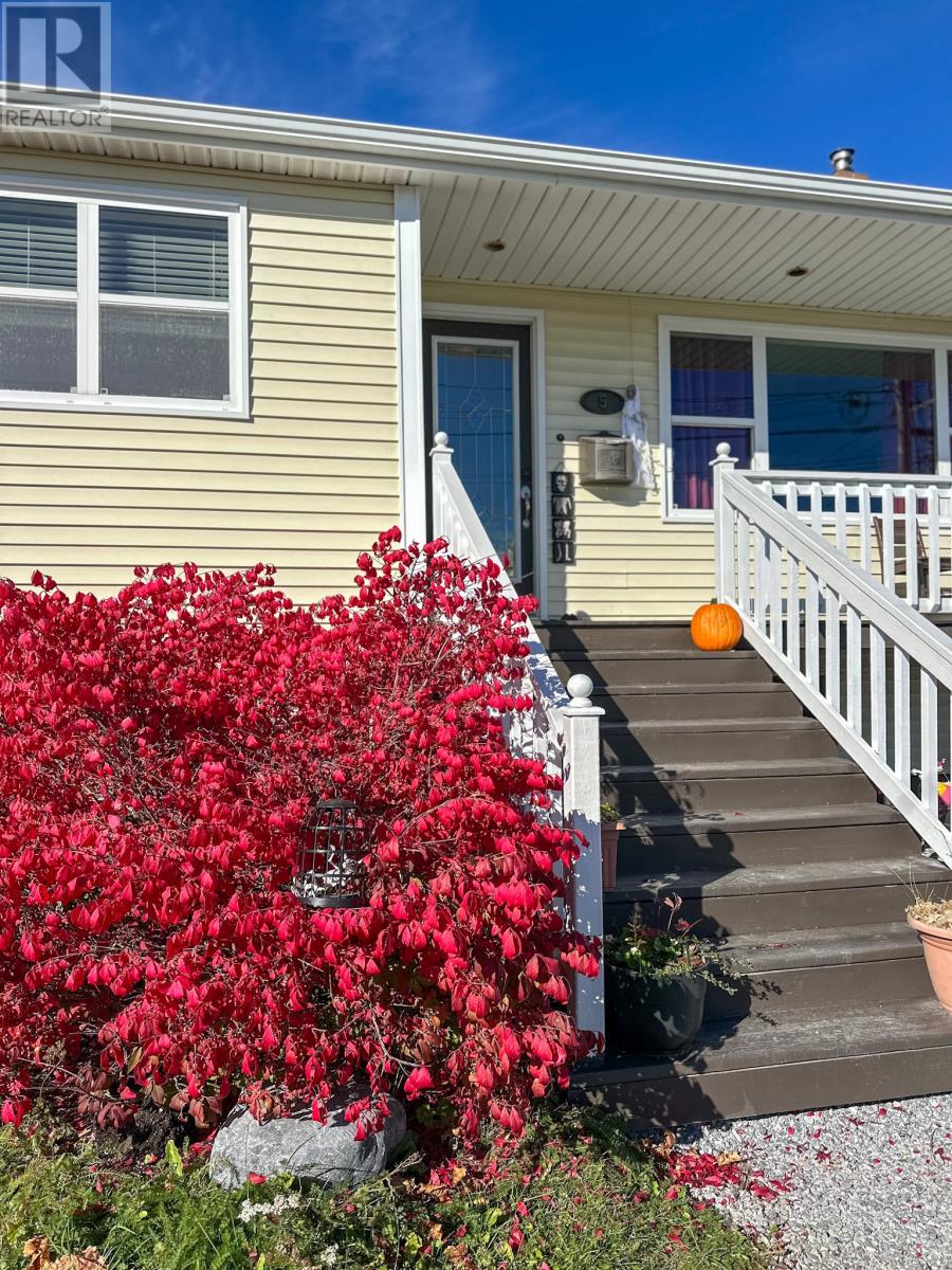 5 Edinburgh Street, Corner Brook, Newfoundland & Labrador  A2H 4N6 - Photo 32 - 1291493