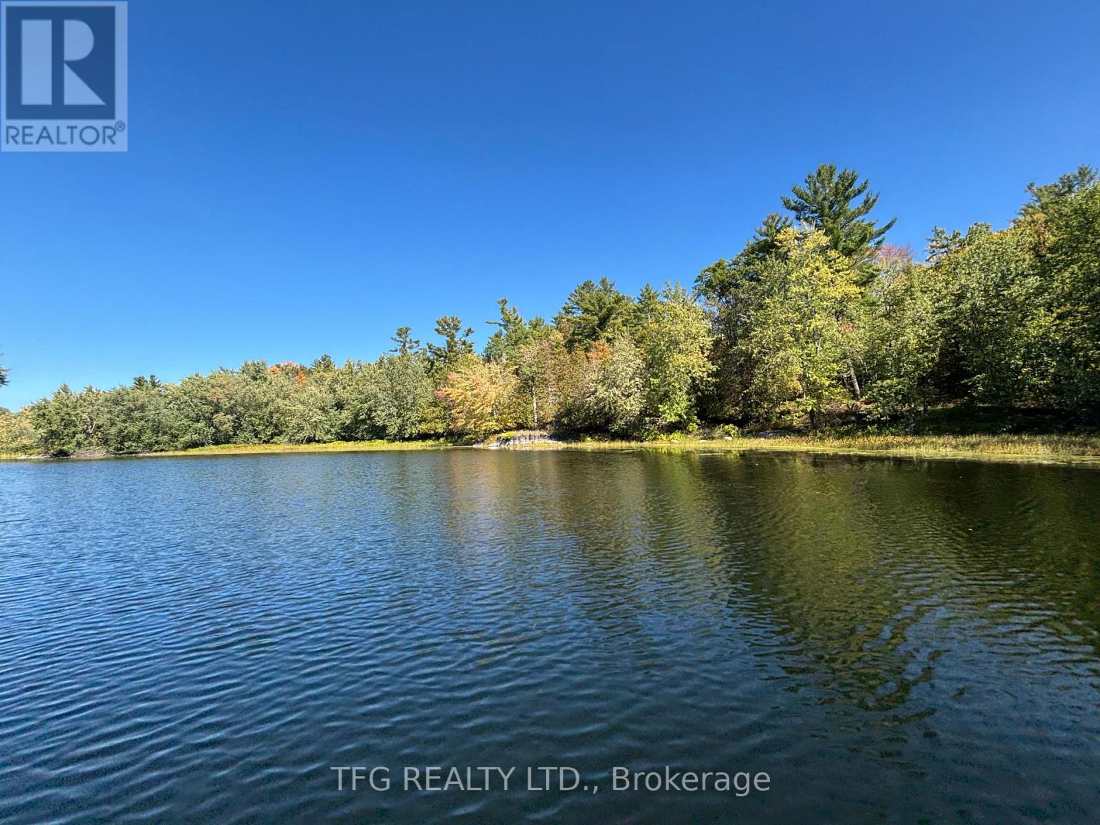 206i Kehoe Lane, Tweed, Ontario  K0K 3J0 - Photo 11 - X12460218