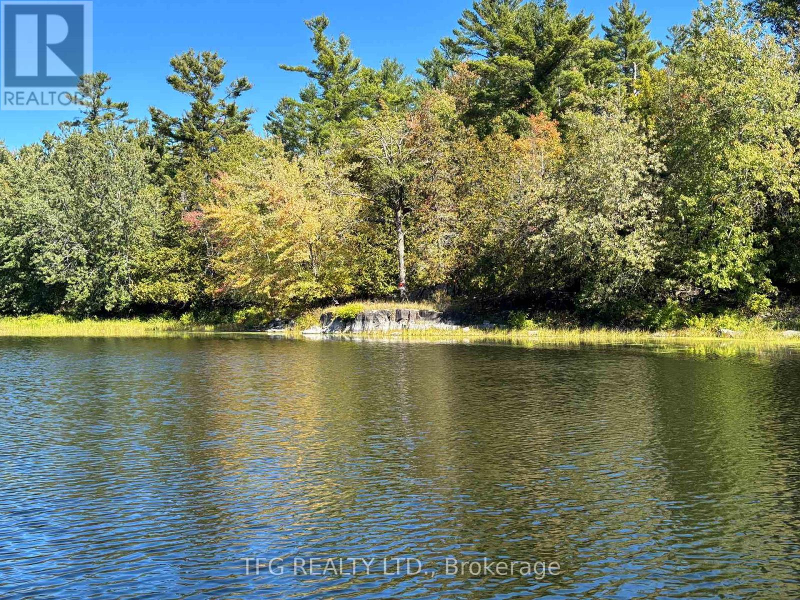 206i Kehoe Lane, Tweed, Ontario  K0K 3J0 - Photo 13 - X12460218