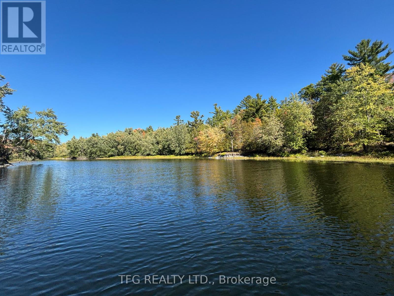 206i Kehoe Lane, Tweed, Ontario  K0K 3J0 - Photo 14 - X12460218