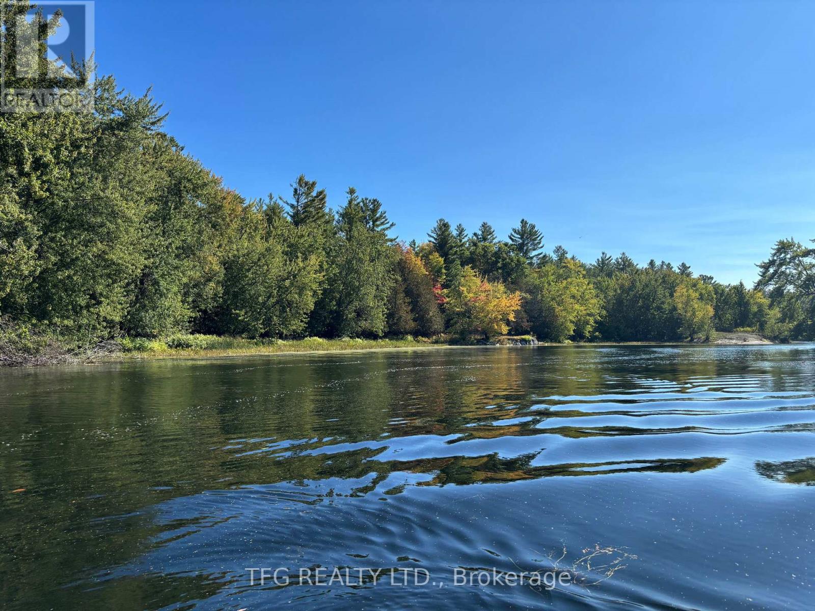 206i Kehoe Lane, Tweed, Ontario  K0K 3J0 - Photo 15 - X12460218