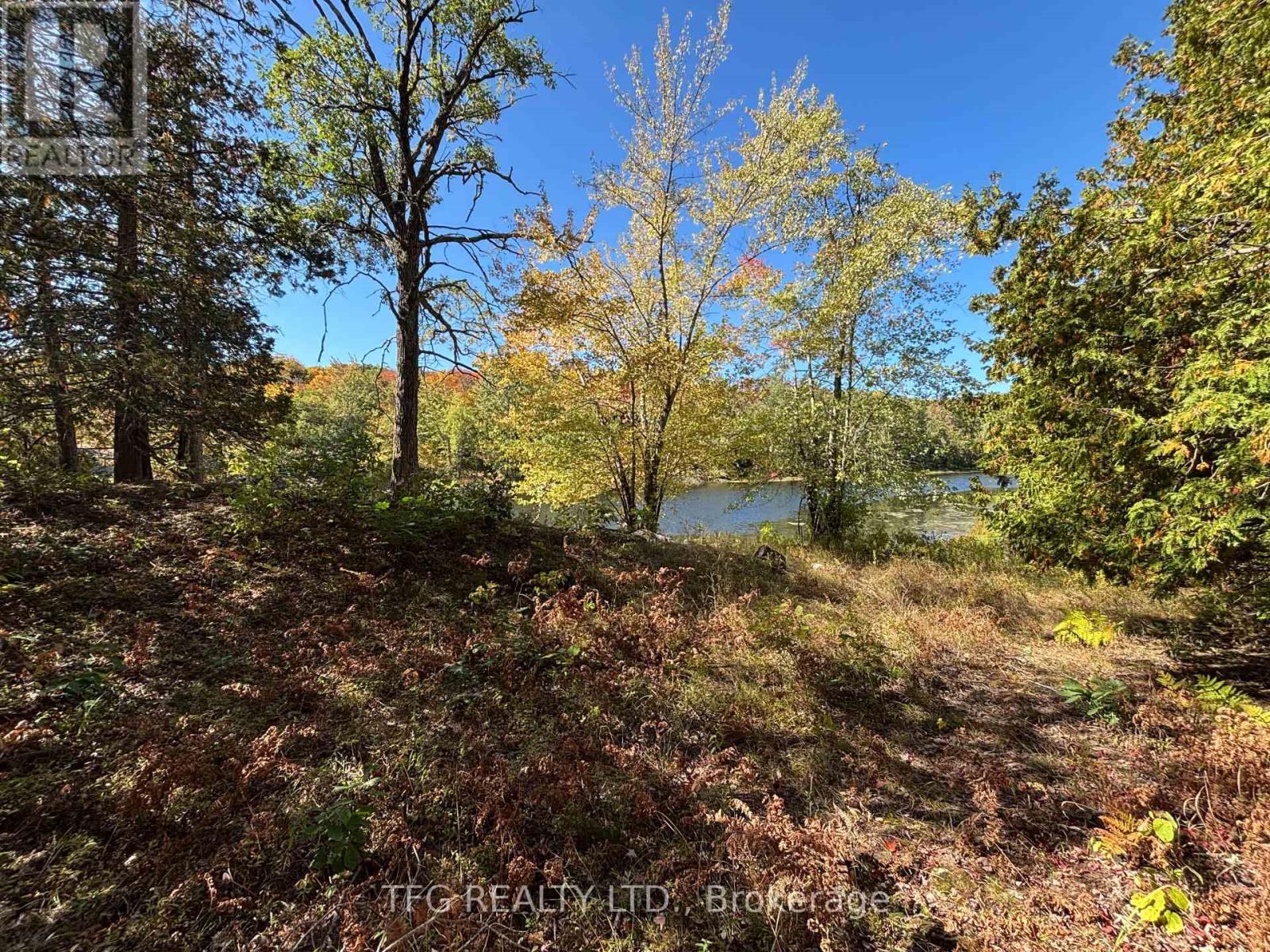 206i Kehoe Lane, Tweed, Ontario  K0K 3J0 - Photo 16 - X12460218