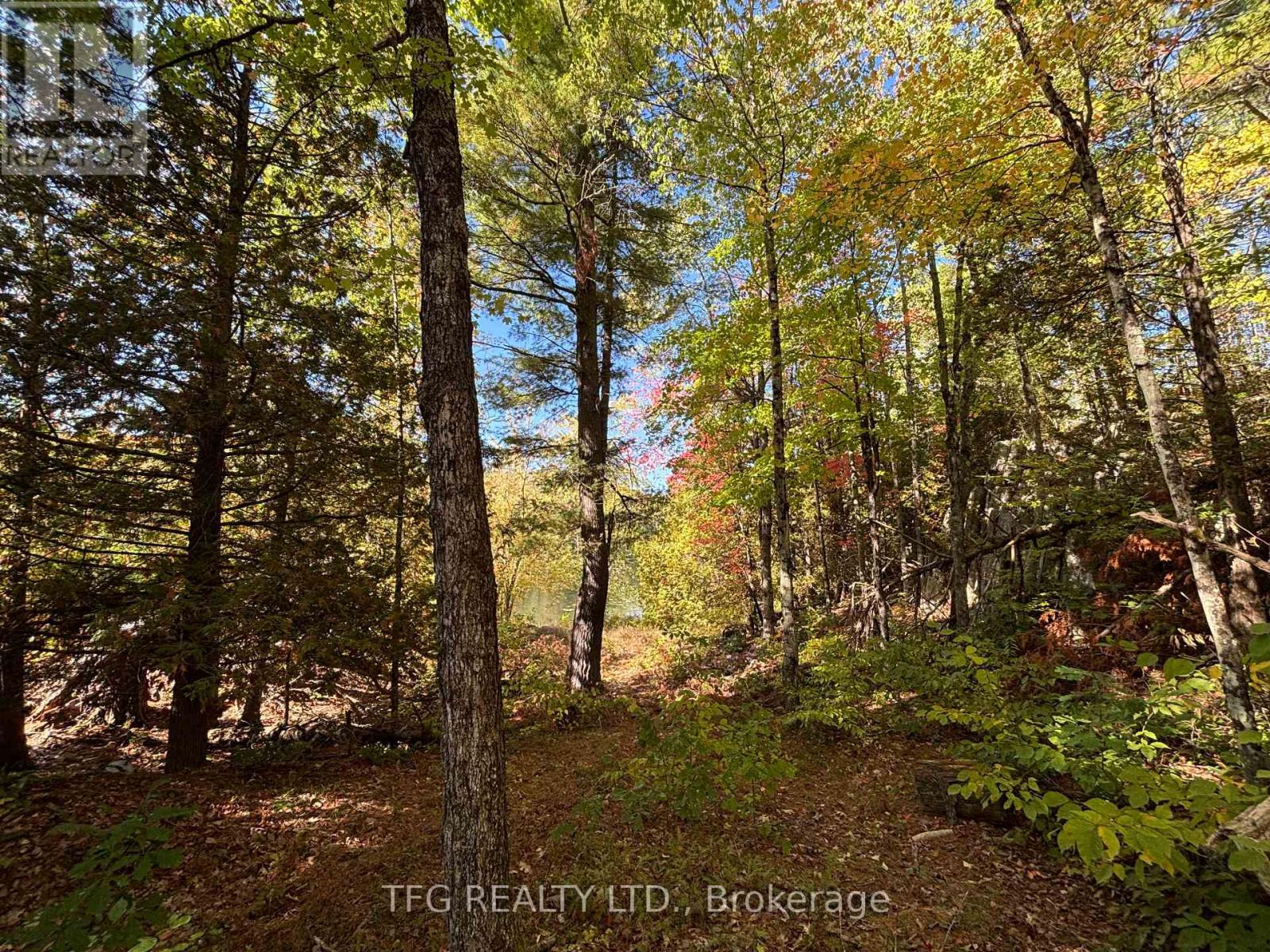 206i Kehoe Lane, Tweed, Ontario  K0K 3J0 - Photo 17 - X12460218