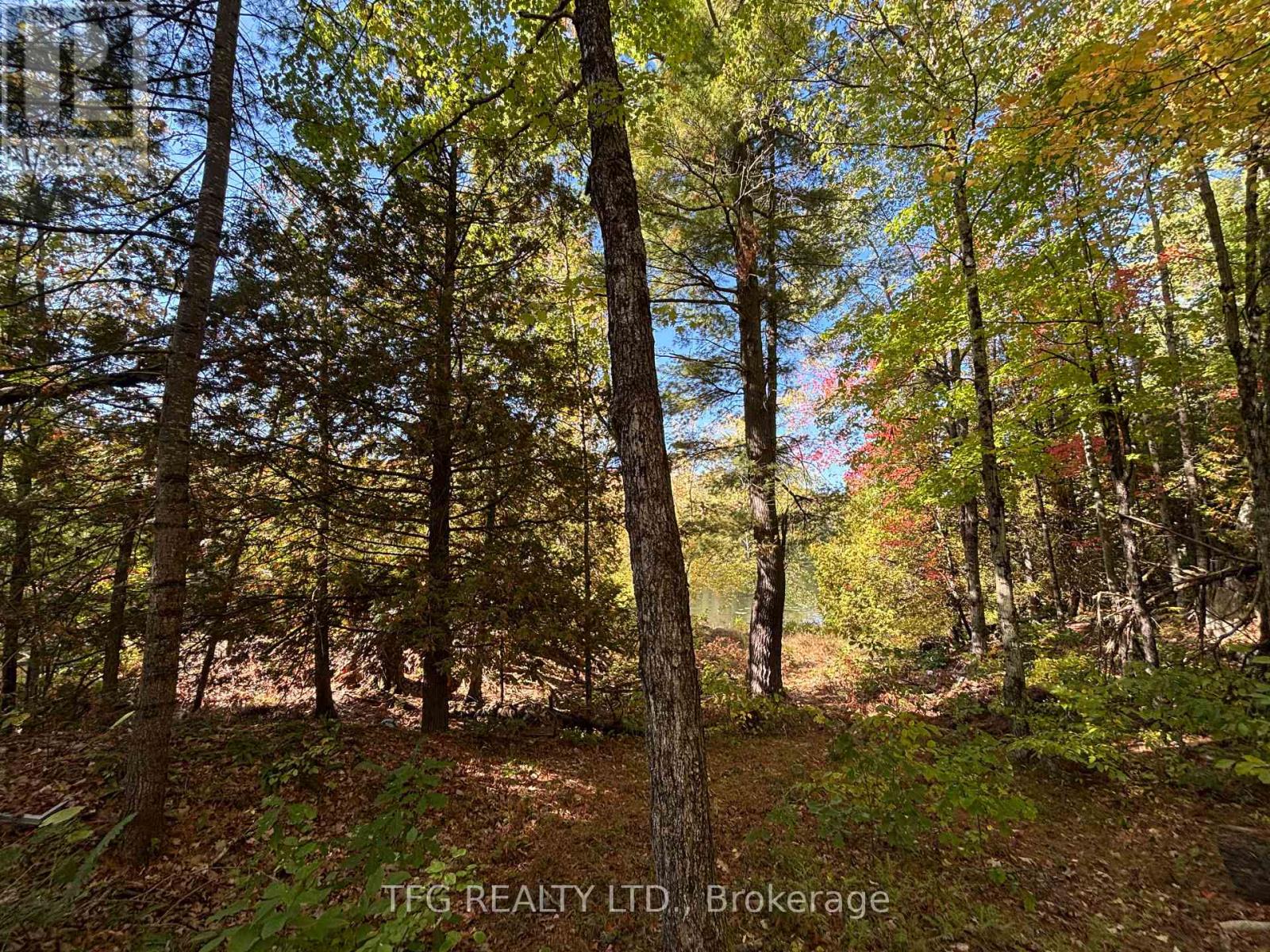 206i Kehoe Lane, Tweed, Ontario  K0K 3J0 - Photo 18 - X12460218