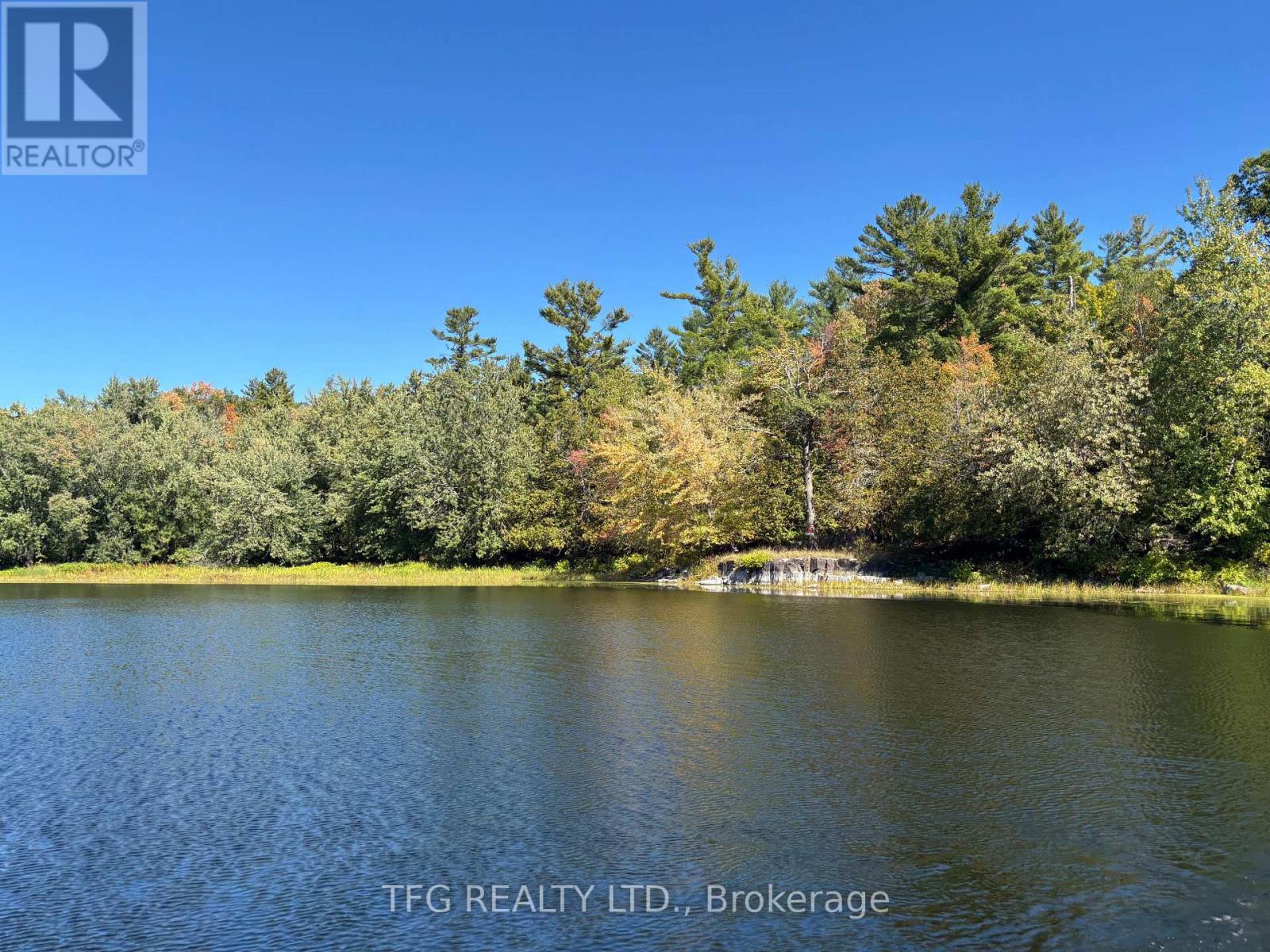 206i Kehoe Lane, Tweed, Ontario  K0K 3J0 - Photo 6 - X12460218