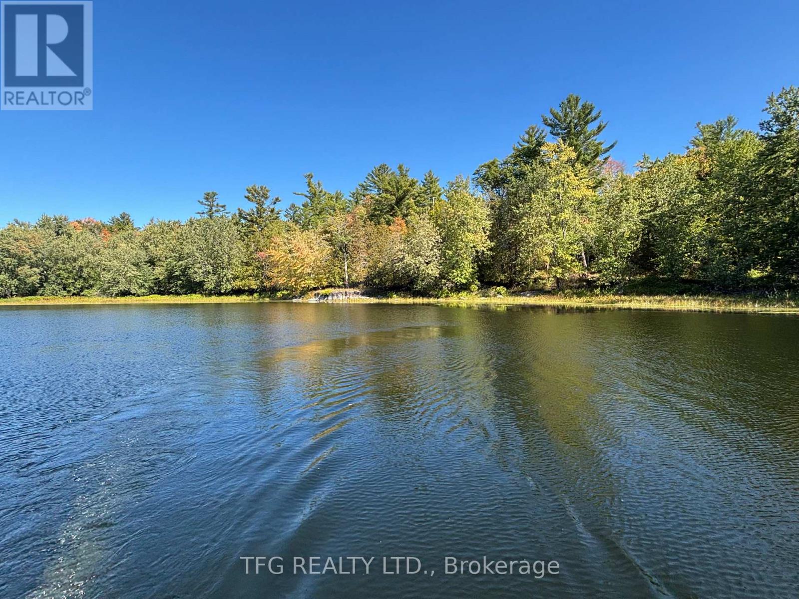 206i Kehoe Lane, Tweed, Ontario  K0K 3J0 - Photo 8 - X12460218