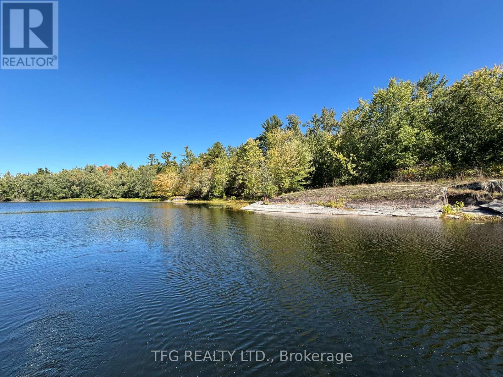 206i Kehoe Lane, Tweed, Ontario  K0K 3J0 - Photo 9 - X12460218