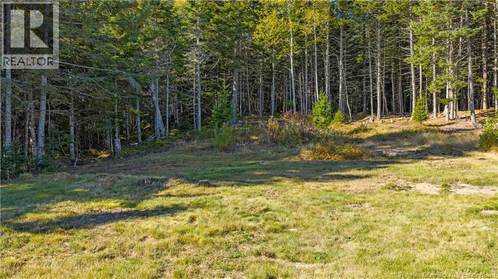 338 Route 176, Pennfield, New Brunswick  E5H 2L6 - Photo 32 - NB128446