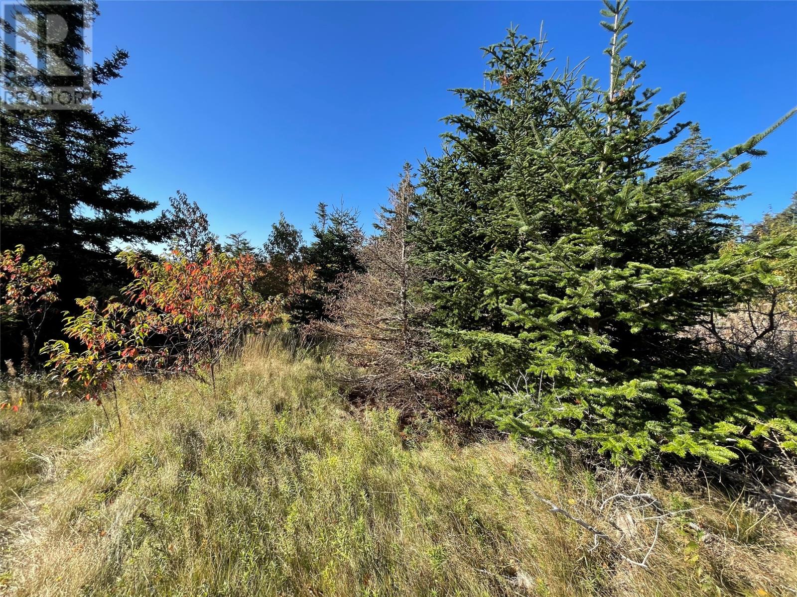 C WADES FARM Road, Flatrock, Newfoundland & Labrador