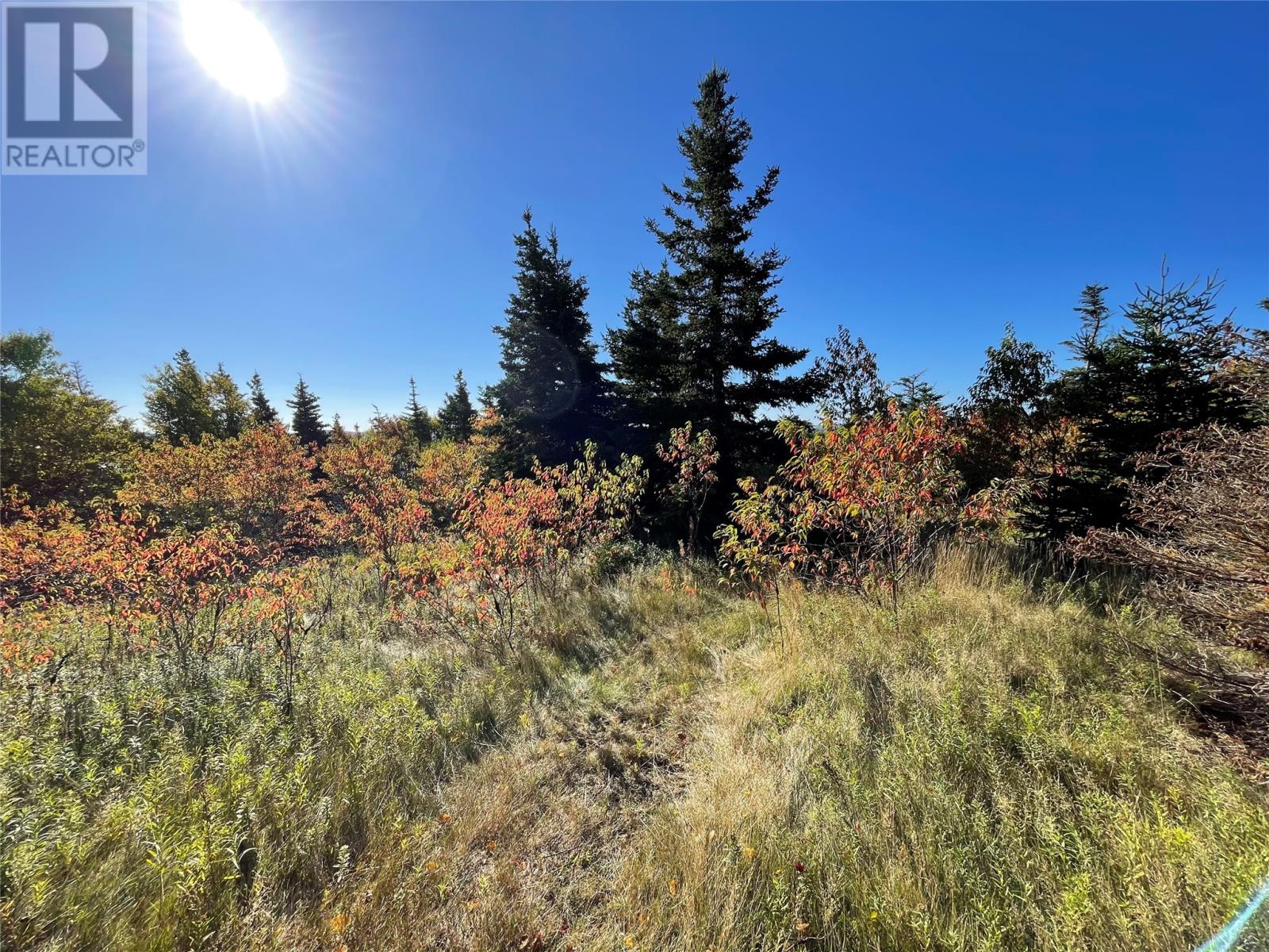 C Wades Farm Road, Flatrock, Newfoundland & Labrador  A1K 1C6 - Photo 11 - 1291463