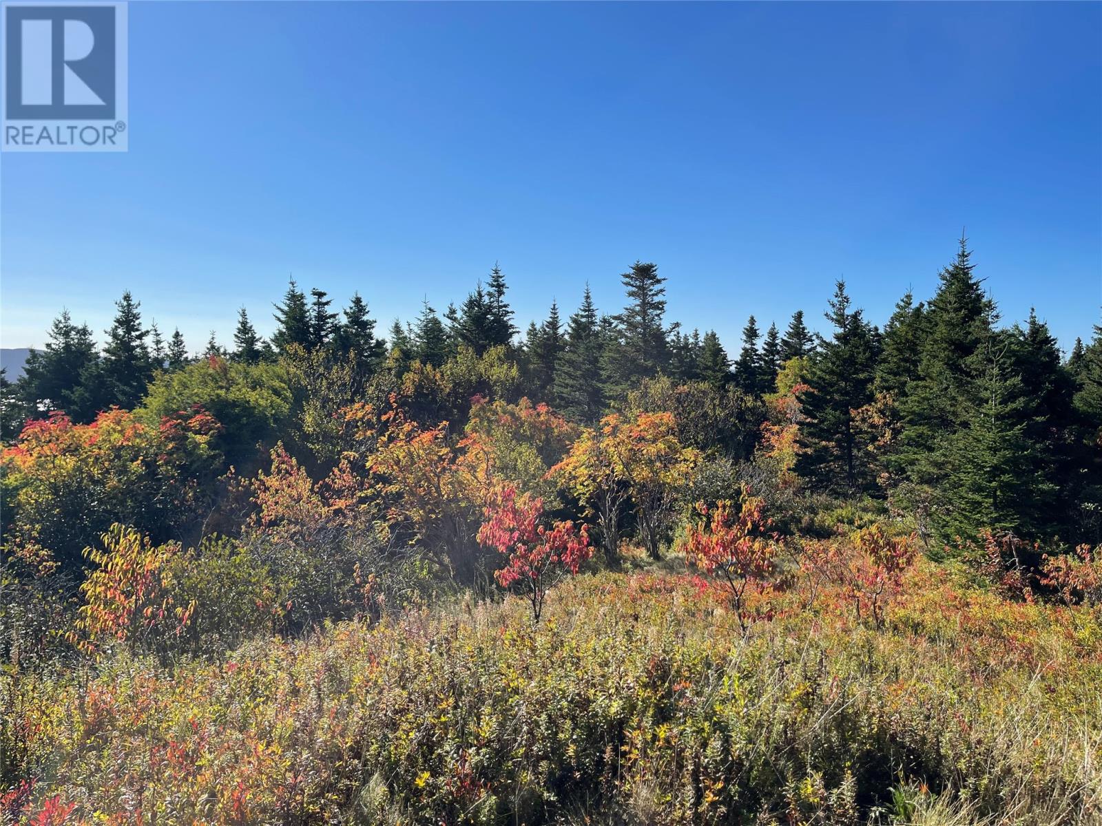 C Wades Farm Road, Flatrock, Newfoundland & Labrador  A1K 1C6 - Photo 13 - 1291463