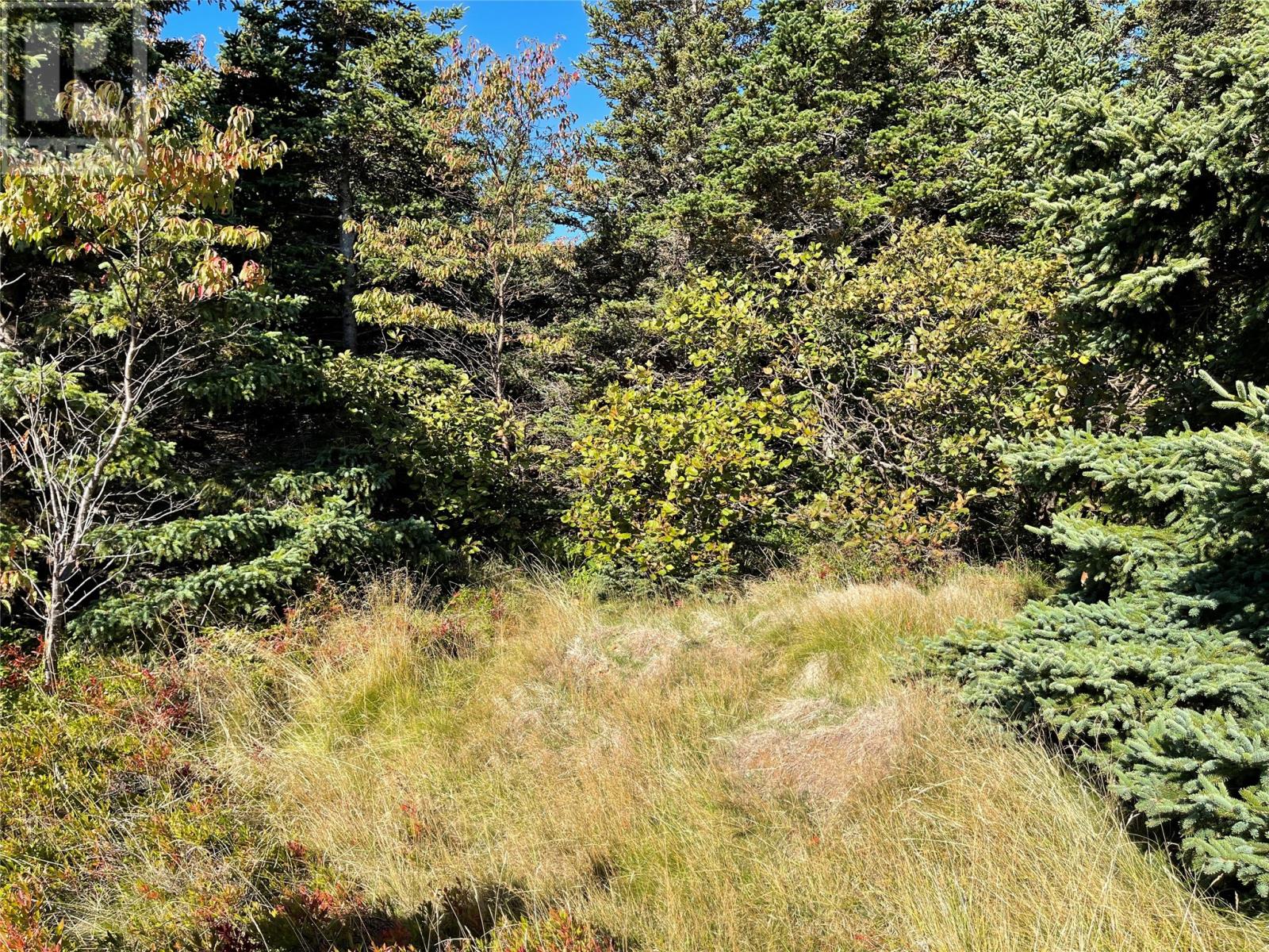 C Wades Farm Road, Flatrock, Newfoundland & Labrador  A1K 1C6 - Photo 14 - 1291463