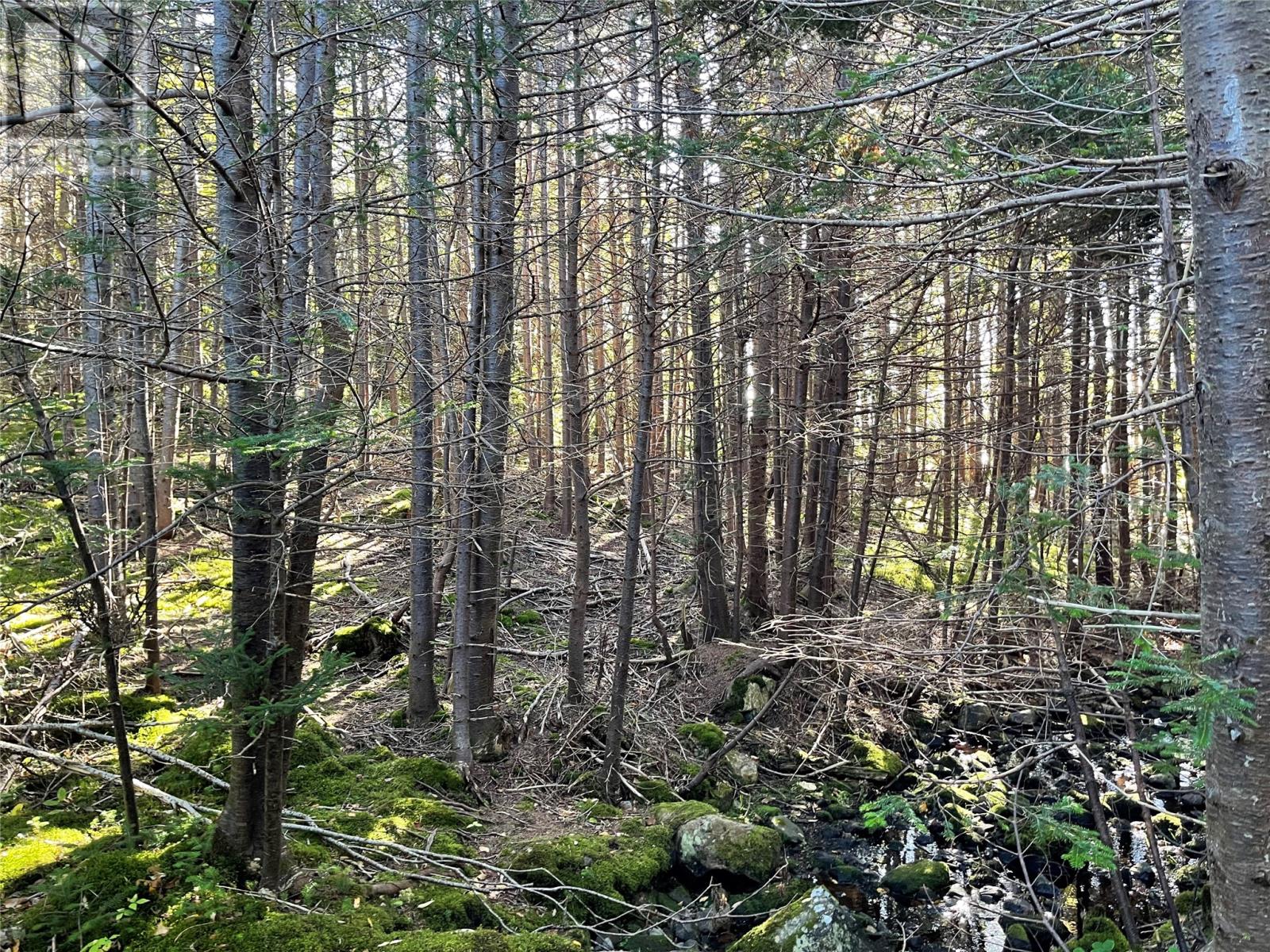 C Wades Farm Road, Flatrock, Newfoundland & Labrador  A1K 1C6 - Photo 15 - 1291463