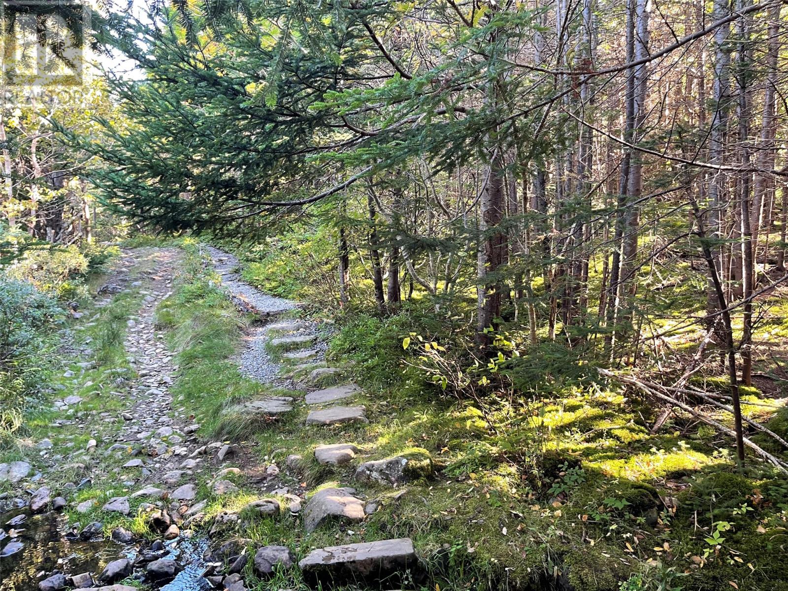 C Wades Farm Road, Flatrock, Newfoundland & Labrador  A1K 1C6 - Photo 16 - 1291463