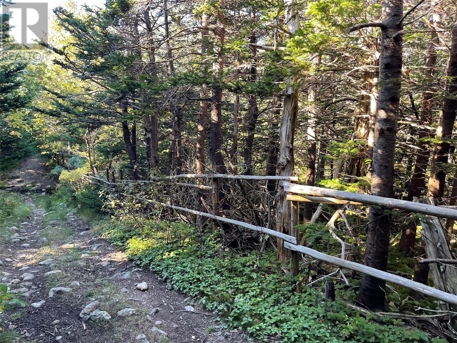 C Wades Farm Road, Flatrock, Newfoundland & Labrador  A1K 1C6 - Photo 17 - 1291463