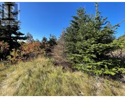 C WADES FARM Road, Flatrock, Newfoundland & Labrador