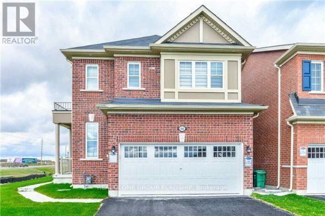 BASEMENT - 46 RINGWAY ROAD, Brampton, Ontario