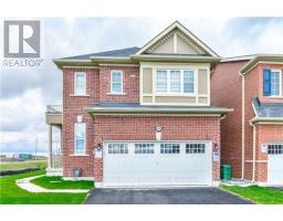 BASEMENT - 46 RINGWAY ROAD, Brampton, Ontario