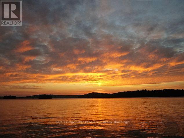 307 - 12 Bigwin Island Island, Lake Of Bays, Ontario  P0A 1E0 - Photo 21 - X12458411