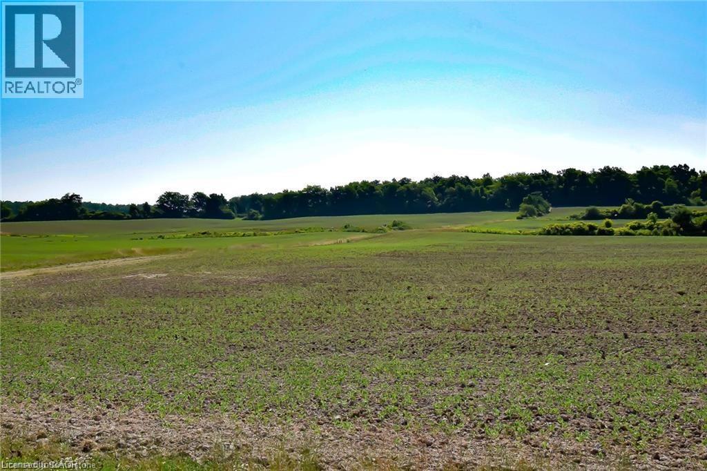 290 Richert Road, Haldimand County, Ontario  N0A 1E0 - Photo 47 - 40778761