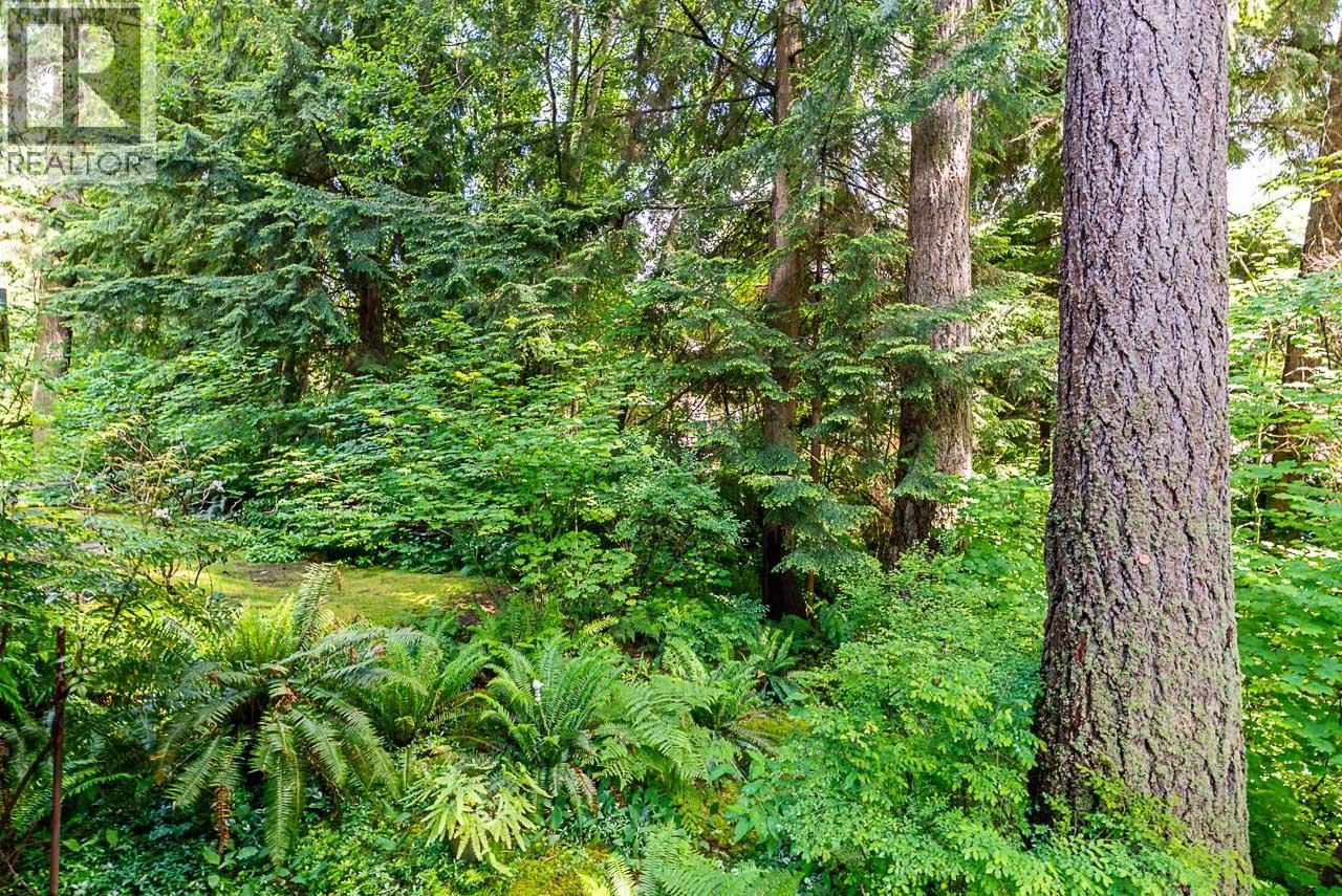 1174 Strathaven Drive, North Vancouver, British Columbia  V7H 2Z6 - Photo 30 - R3057827