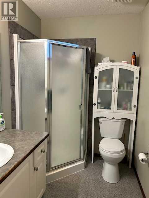 23 Aspen Creek Way, Strathmore, Alberta  T1P 1K2 - Photo 17 - A2240330