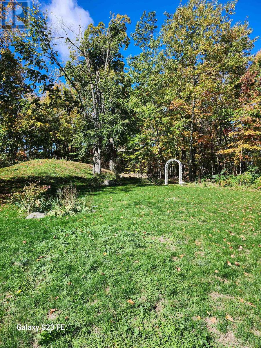 197 County Road 8 Road, Kawartha Lakes, Ontario  K0M 1N0 - Photo 20 - X12459643