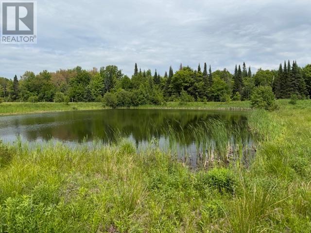 101 Lipsit Ln, Goulais River, Ontario  P0S 1E0 - Photo 4 - SM250533