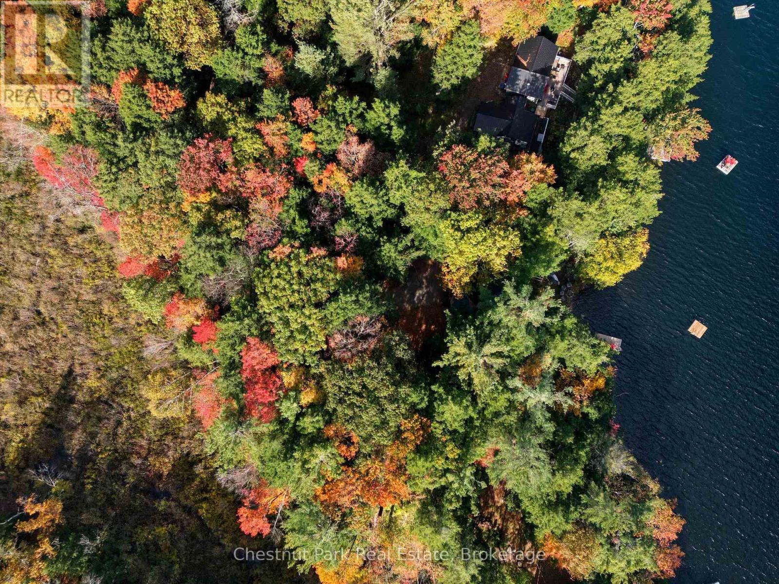11 - 1158 Cranberry Road, Muskoka Lakes, Ontario  P0C 1A0 - Photo 13 - X12460338