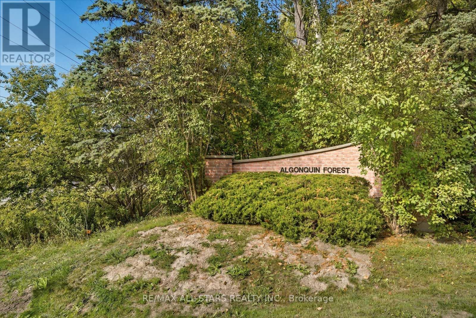 40 Algonquin Forest Drive, East Gwillimbury, Ontario  L9N 0C6 - Photo 50 - N12460301