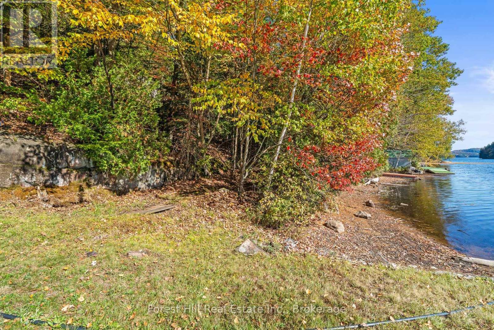 1187 Ivy Lane, Algonquin Highlands, Ontario  P0A 1E0 - Photo 40 - X12459975