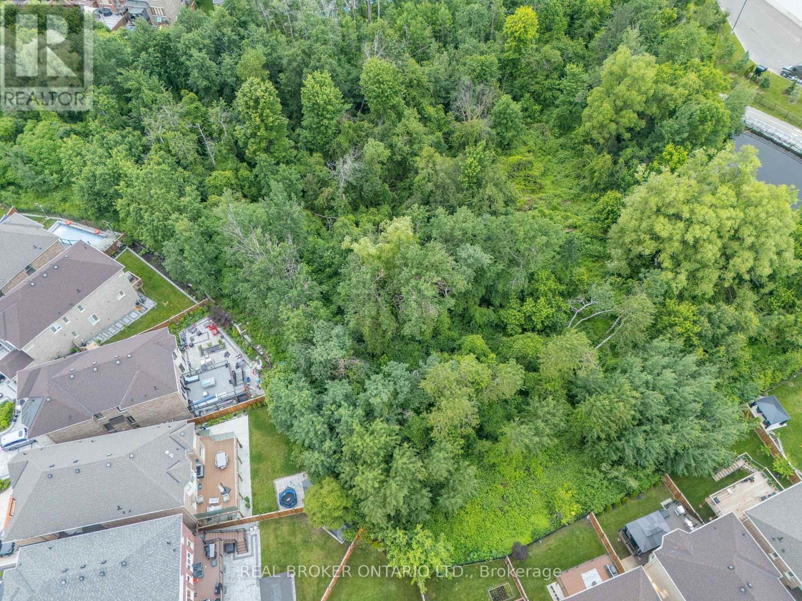 43 Provost (Basement) Trail, Brampton, Ontario  L6Y 6E8 - Photo 12 - W12460261